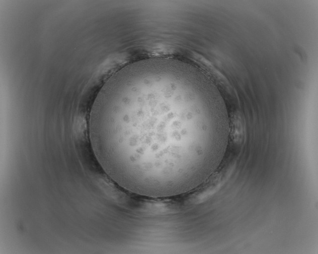 X0000115850523200911131554