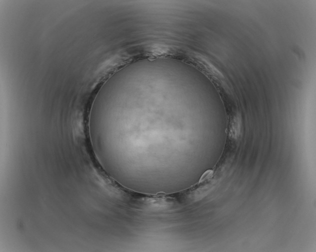 X0000115850524200911131554