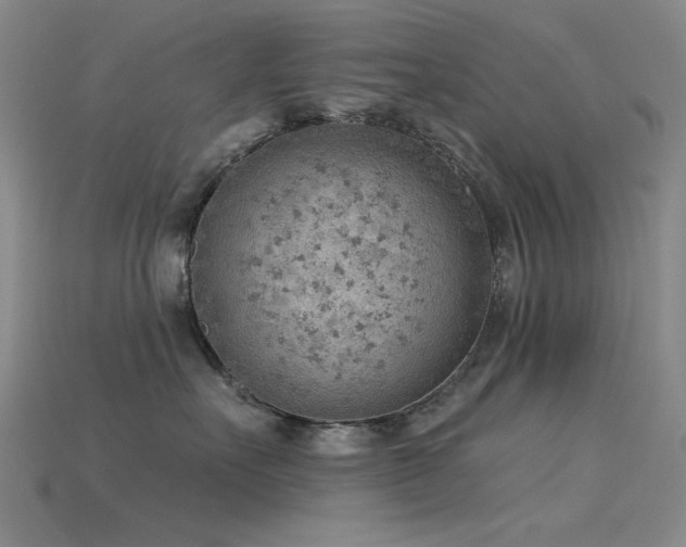 X0000115850527200911131554