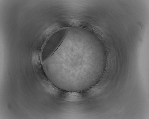 X0000115850528200911131554
