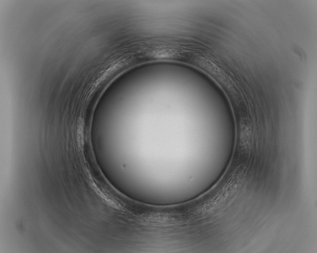 X0000115850530200911131554