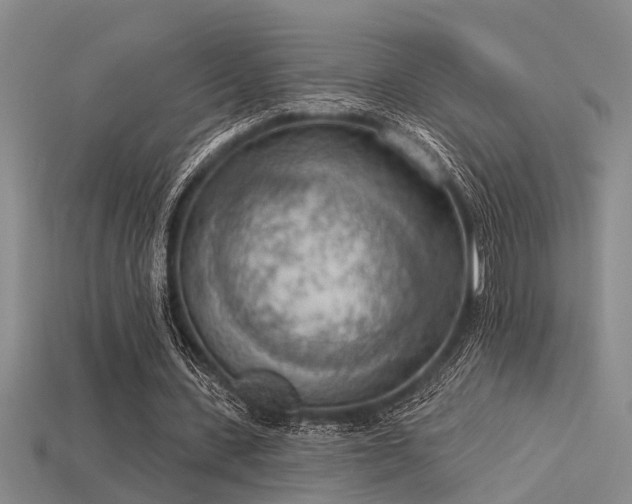 X0000115850531200911131554