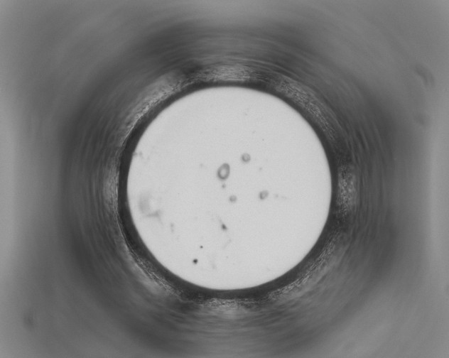 X0000115850534200911131554