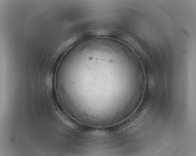 X0000115850537200911131554