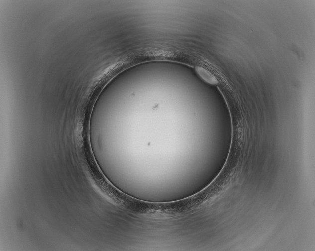 X0000115850538200911131554