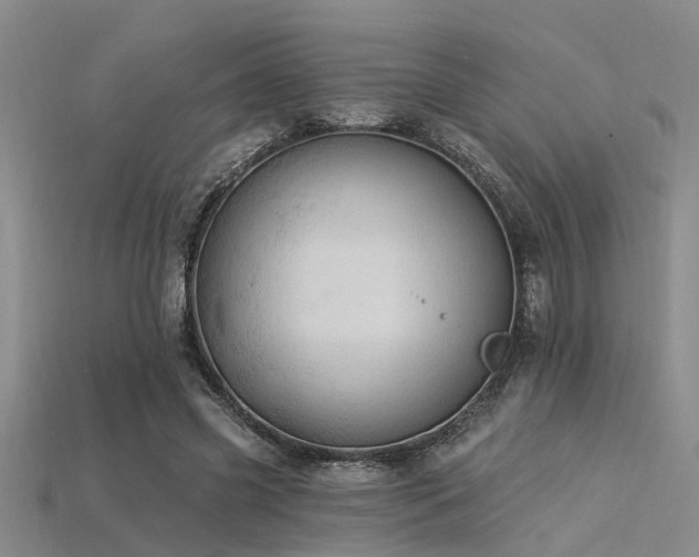 X0000115850541200911131554