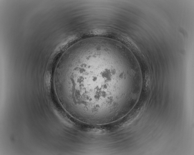 X0000115850542200911131554