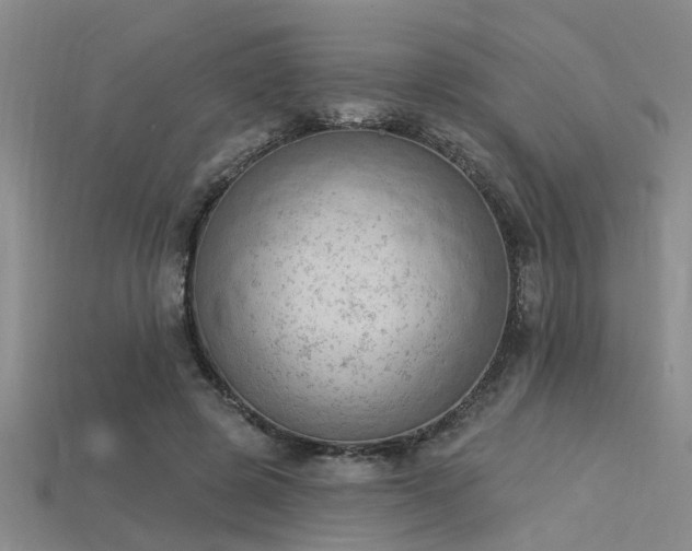 X0000115850545200911131554