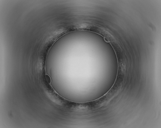 X0000115850546200911131554