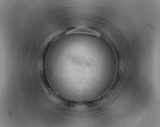 X0000115850547200911131554