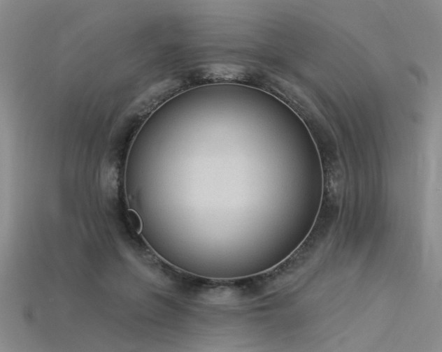 X0000115850551200911131554