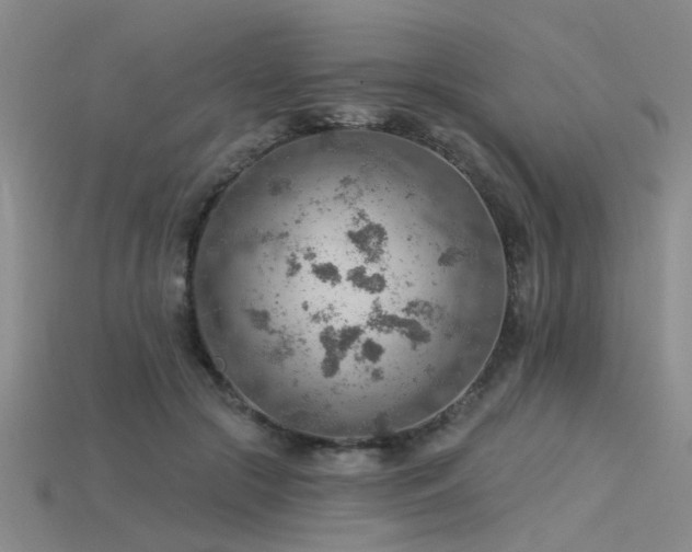 X0000115850553200911131554