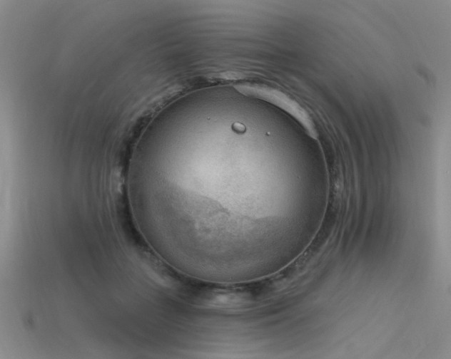 X0000115850555200911131554
