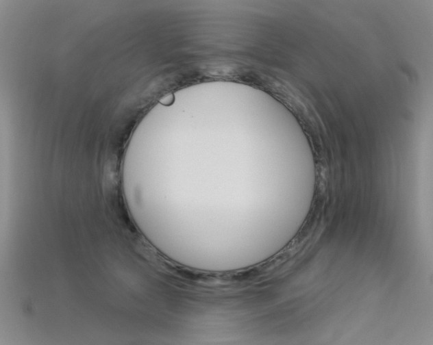 X0000115850561200911131554