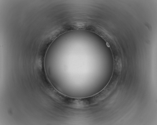 X0000115850562200911131554