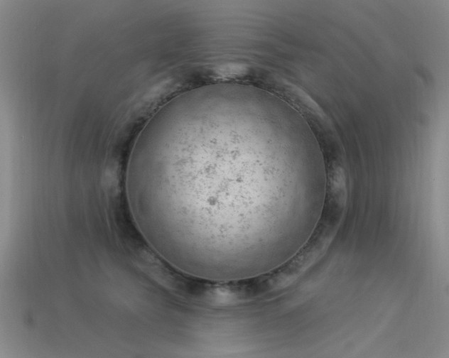 X0000115850565200911131554