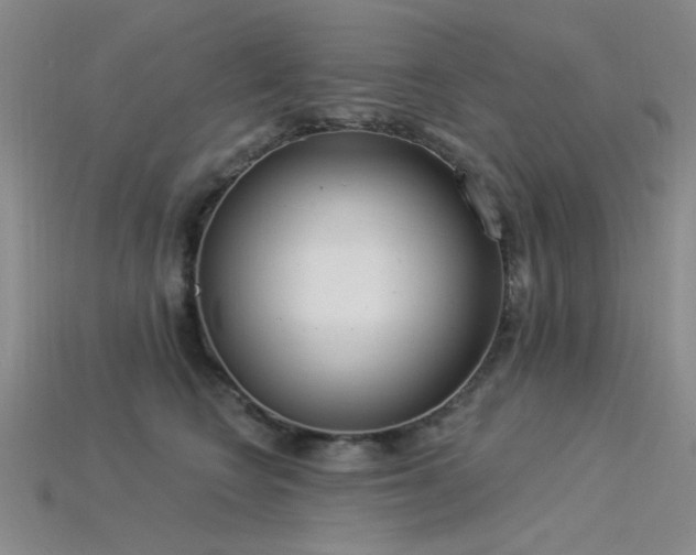 X0000115850566200911131554