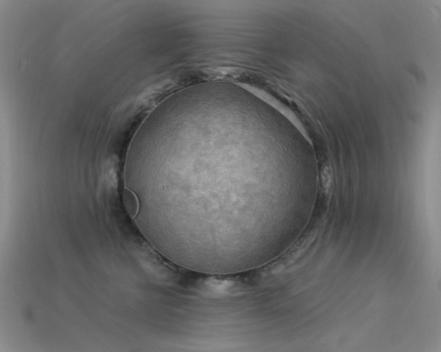 X0000115850570200911131554