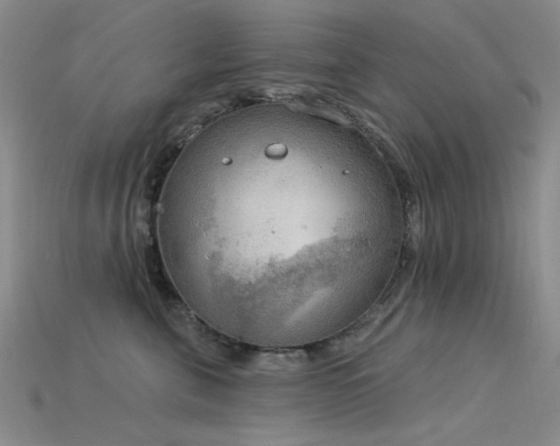 X0000115850571200911131554