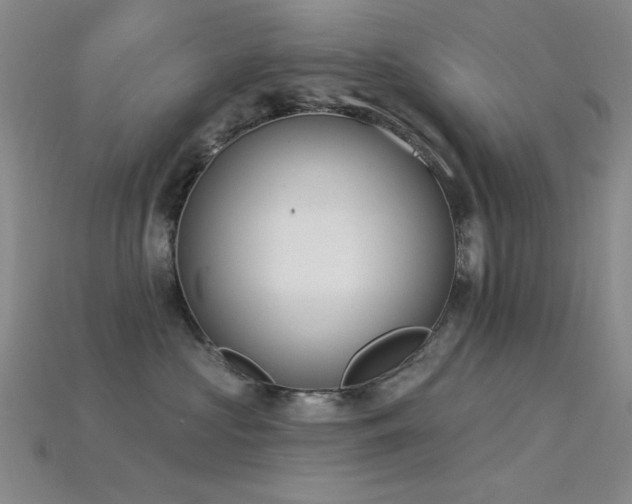X0000115850573200911131554