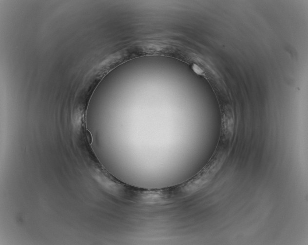 X0000115850574200911131554