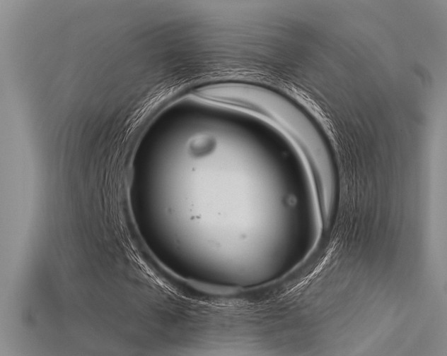 X0000115850577200911131554