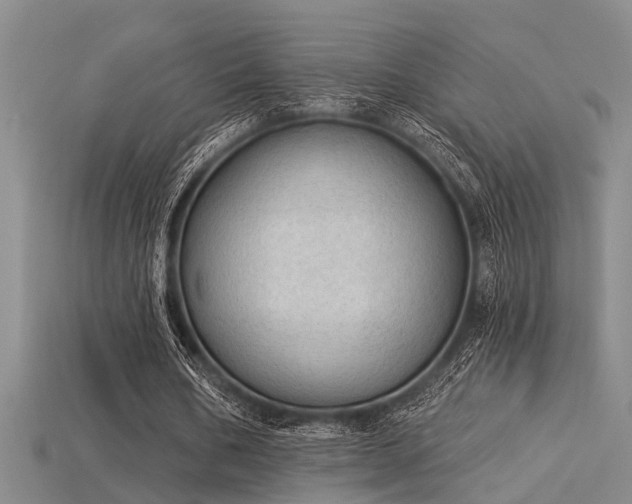 X0000115850578200911131554