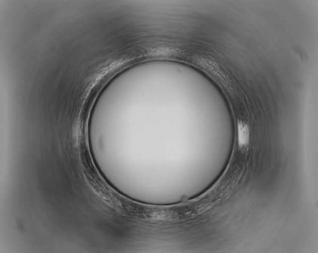 X0000115850579200911131553