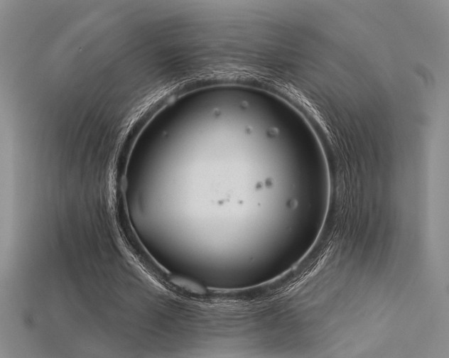 X0000115850581200911131553