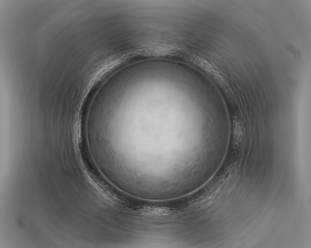 X0000115850582200911131553