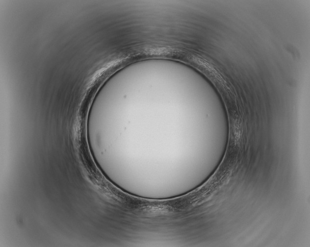 X0000115850583200911131553