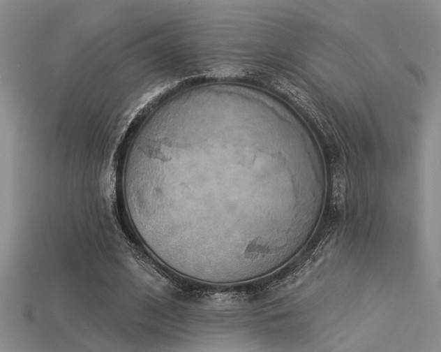 X0000115850584200911131553