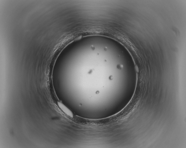 X0000115850585200911131553