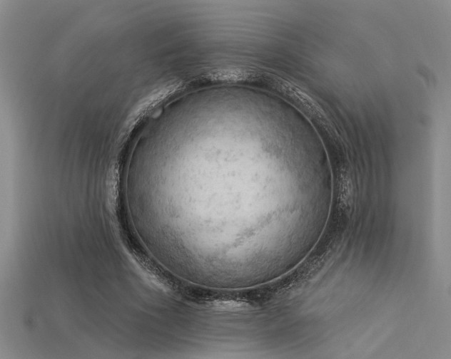 X0000115850586200911131553