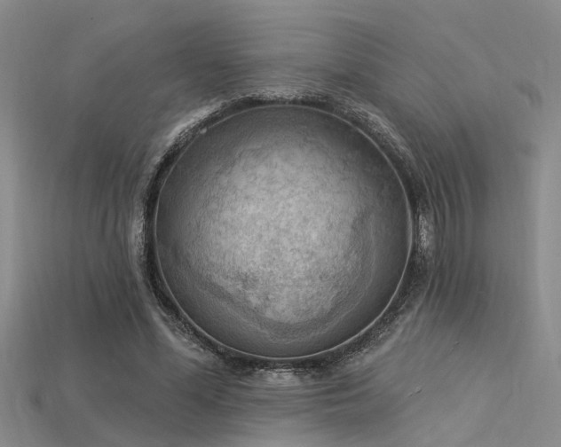 X0000115850588200911131553