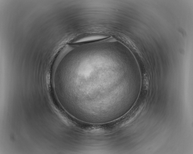 X0000115850589200911131553