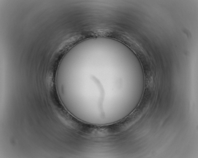 X0000115850599200911131553