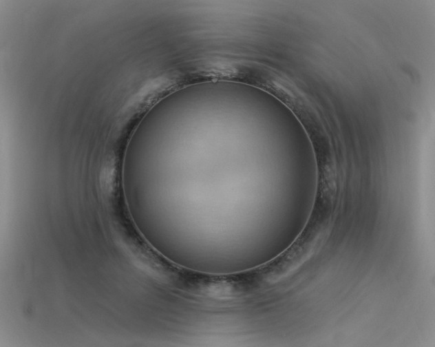 X0000115850600200911131553