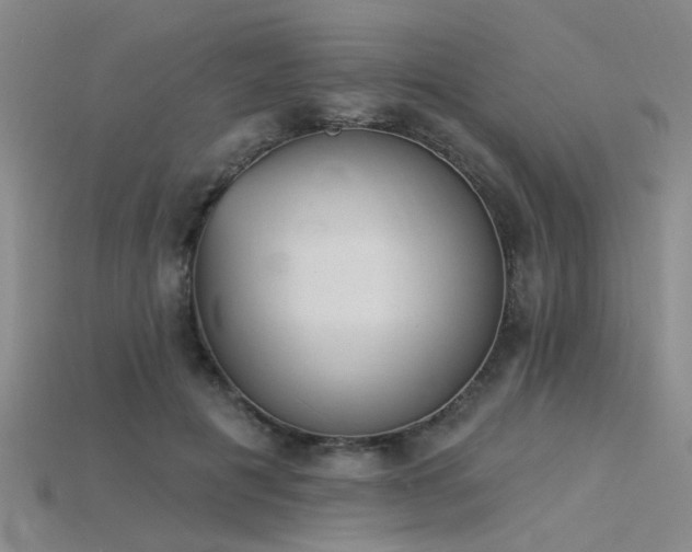 X0000115850601200911131553
