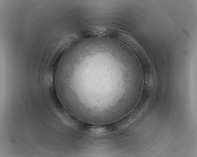 X0000115850602200911131553