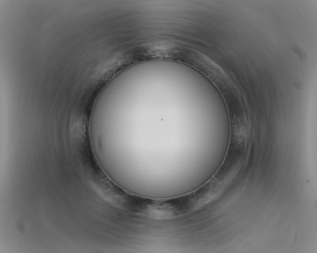X0000115850603200911131553