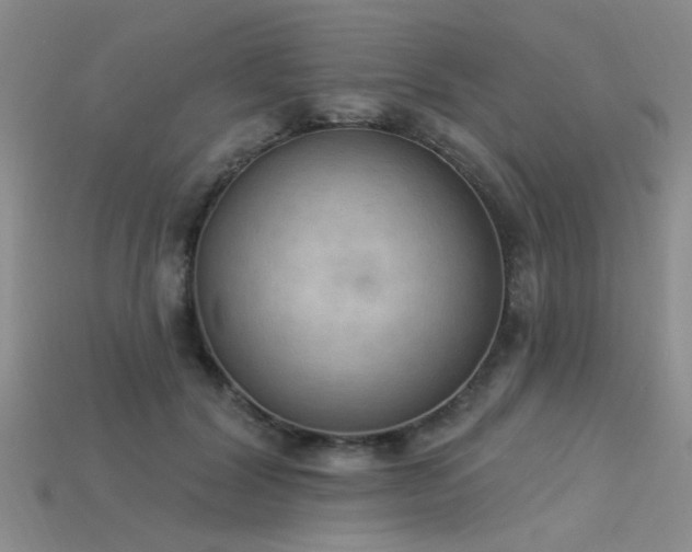 X0000115850604200911131553