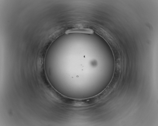 X0000115850605200911131553