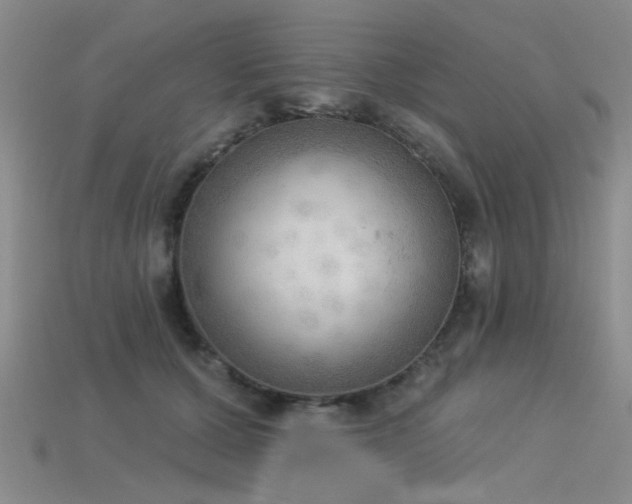 X0000115850607200911131553