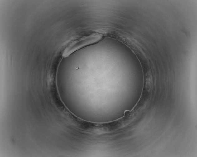 X0000115850608200911131553