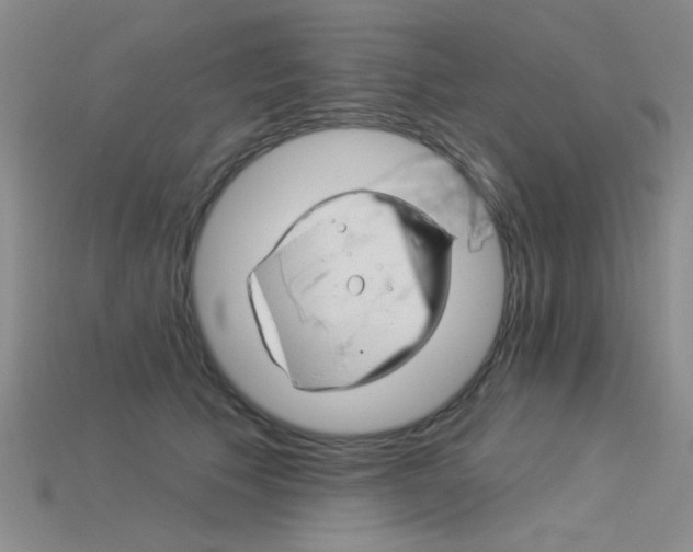 X0000115850609200911131553