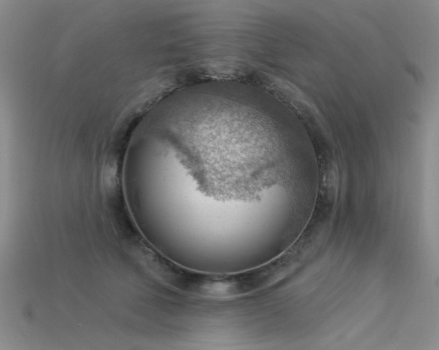 X0000115850610200911131553