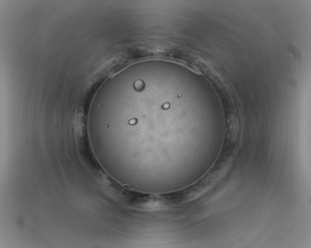 X0000115850612200911131553