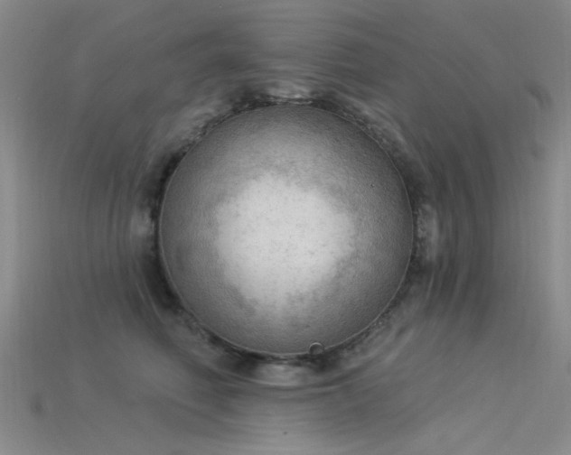X0000115850614200911131553