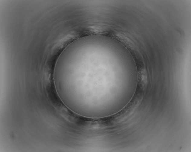 X0000115850615200911131553